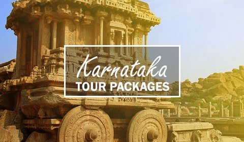 Tour Packages from Delhi