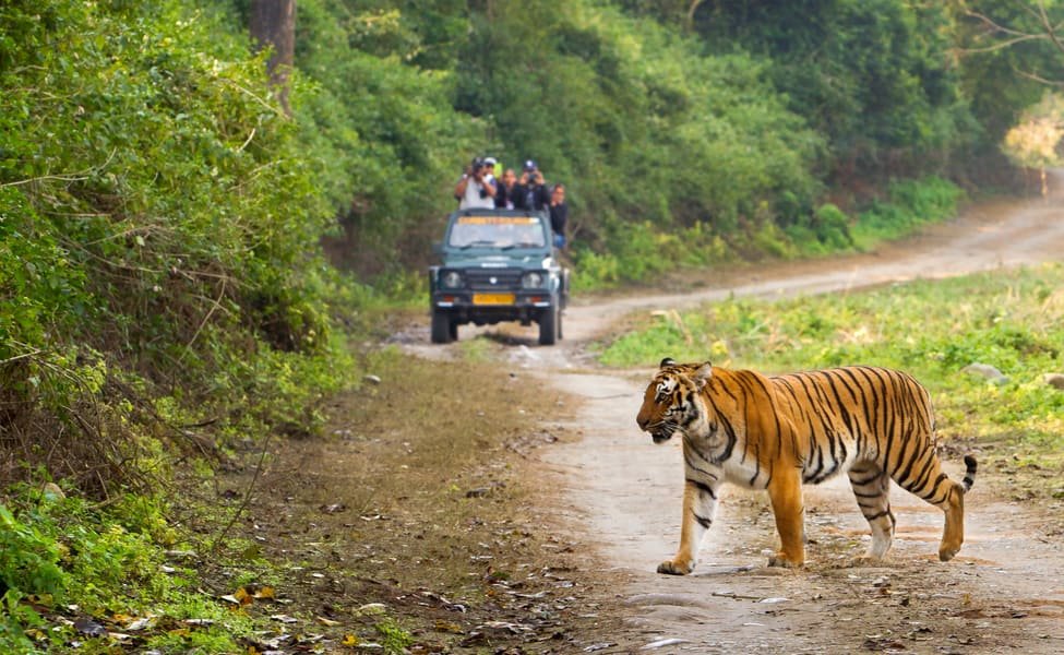 Corbett Tour Package